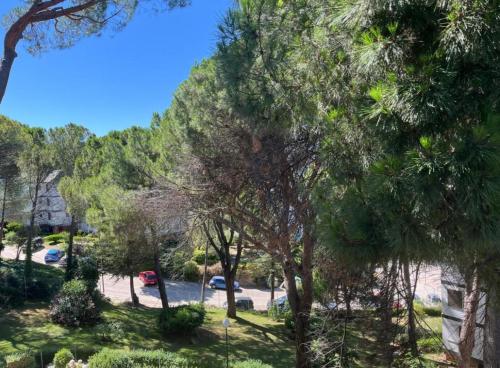 a view of a park with trees and a street at Apartamento en Playa de Madrid in San Martín de Valdeiglesias