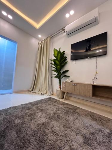 a living room with a television and a plant at Triple Garden Studios and apartments in Cairo