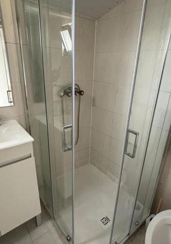 a shower with a glass door in a bathroom at Casa bela paisagem in Castro Daire