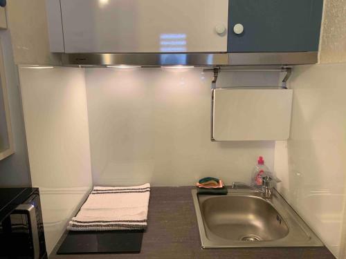 une petite cuisine avec un évier et un micro-ondes dans l'établissement Joli studio Cauterets, à Cauterets