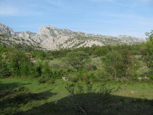 Paklina apartments