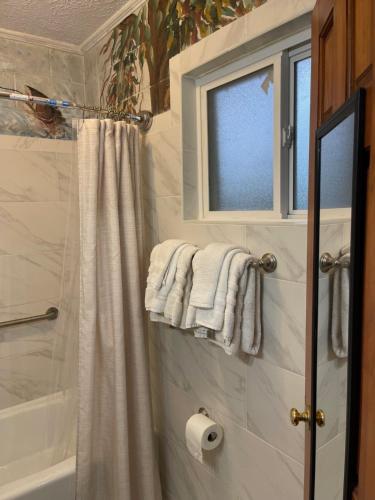 a bathroom with a shower and a window and towels at Mountain Aire Cottages, Inn, & Glamping in Clayton
