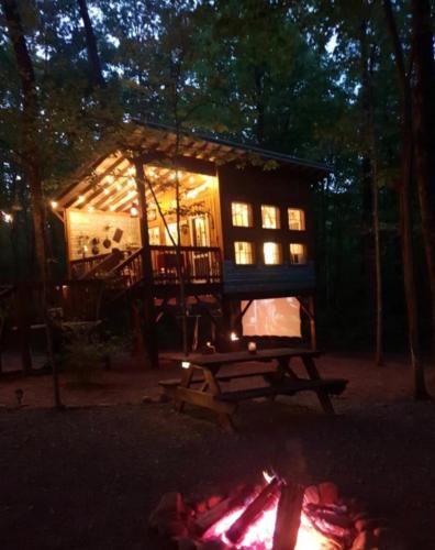 a cabin in the woods at night with lights at Glamping at Deer Camp in Dunlap