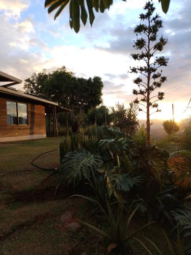 a garden with a tree and a house with the sunset at Cabaña vista hermosa Matazanos in San Ramón Sur