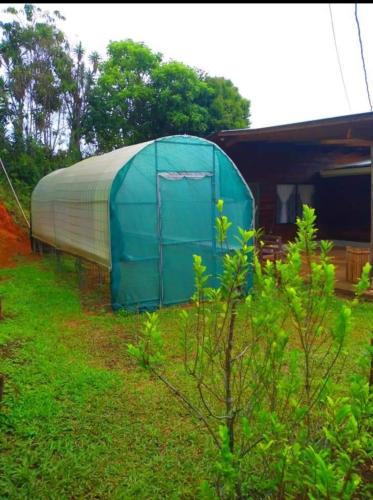 a blue and white tent in the grass near a house at Cabaña vista hermosa Matazanos in San Ramón Sur