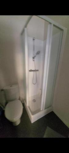 une salle de bain avec toilettes et douche dans l'établissement COUP DE COEUR Bon Plan Chambre 3 pers located history GRAND PLACE DE LILLE, à Lille