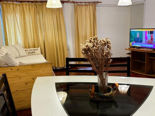Una televisión o centro de entretenimiento en Departamento céntrico Mendoza
