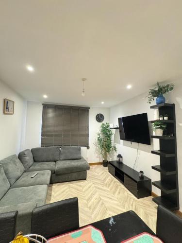 ErithにあるErith cosy retreatのソファと薄型テレビのあるリビングルーム