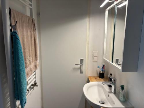 a bathroom with a sink and a mirror at Room with Garden in Ottakringer with Shared Bathroom in Vienna