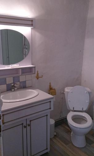 une salle de bain avec toilettes, lavabo et miroir dans l'établissement Tavaud, à Dournazac