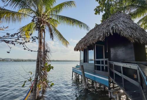 a house on the water next to a palm tree at Mayan Spirit in Flores