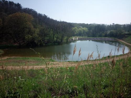 a large lake with a bridge in the middle of a field at Havranův dům Suchohrdly in Suchohrdly