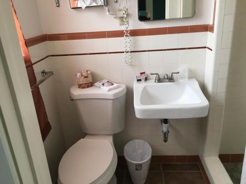 Ванная комната в The Monticello Inn