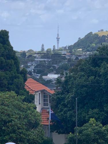 a view of a town with a tower on a hill at Central, secure and upmarket Auckland in Auckland