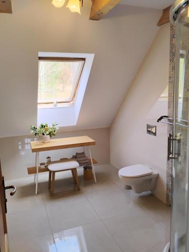 a bathroom with a toilet and a table and a window at Villa of Roses in Lanckorona