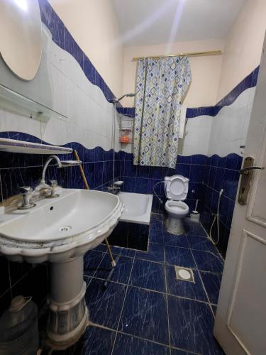 a blue and white bathroom with a sink and a toilet at travel adventures 