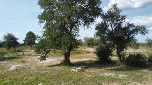 Paisaje cerca de este camping