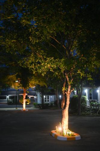 a tree with lights around it in a street at night at Mina Resort and Spa in Loei