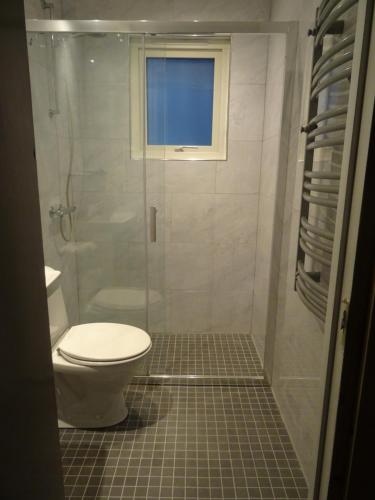 a bathroom with a toilet and a glass shower at Björkdahla in Dörarp
