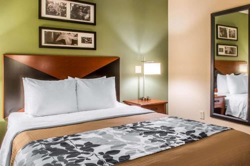 Кровать или кровати в номере Sleep Inn & Suites of Lancaster County