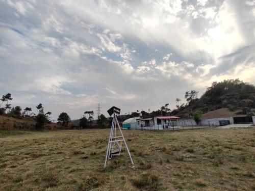 a ladder sitting in the middle of a field at Wansha Farm Stay in Nongkrem