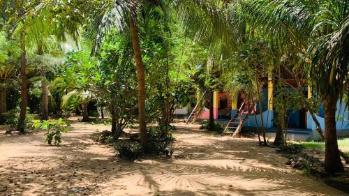 a playground with palm trees in front of a house at Breezy Beach Cabanas in Arugam Bay