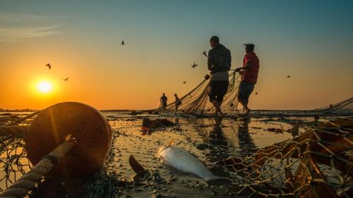 a group of people standing on a beach with a net at Dankbaar Holiday Home in Paternoster