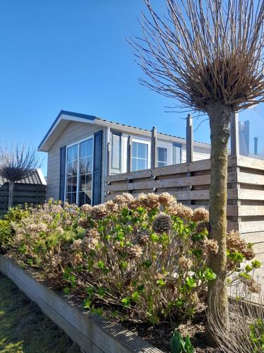 a house with a tree in front of it at Chalet Makkum C99B met prive gelegen tuin aan het water in Makkum