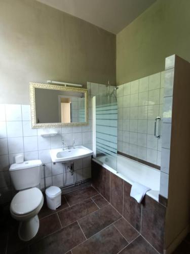a bathroom with a toilet and a sink and a shower at Château de Vallagon in Montrichard