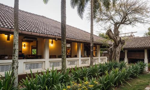 Zahrada ubytování Rest House Matara