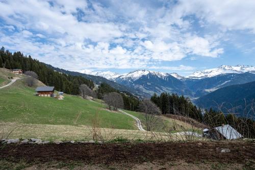 a view of a mountain range with snow covered mountains at Le petit érable - Vue Mont Blanc in Villard-sur-Doron