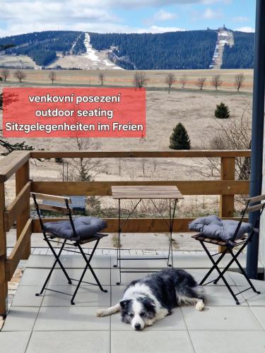 a dog laying under a table and two chairs at apartmán Meluzínka in Loučná pod Klínovcem