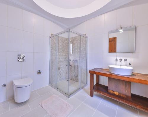 a bathroom with a shower and a sink and a toilet at Villa Nane in Kaş