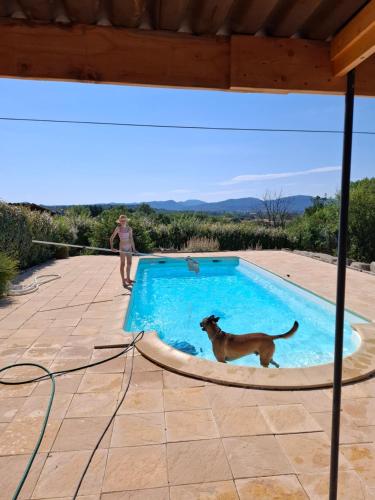 une femme debout à côté d'un chien dans une piscine dans l'établissement Domaine le licou, à Potelières