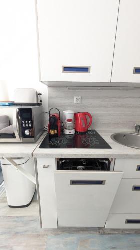 Il comprend une cuisine équipée d'une cuisinière. four supérieur à côté d'un évier dans l'établissement L'Ecrin Bleu, Studio lumineux , Wifi & parking, à Villers-sur-Mer