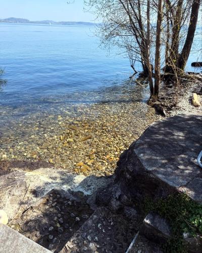 a body of water with a tree and the water at La mia casa sul lago con vista mozzafiato in Belgirate