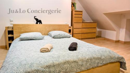 - un lit avec deux oreillers et un chat noir sur le mur dans l'établissement Maison Redonnaise Centre Ville, à Redon