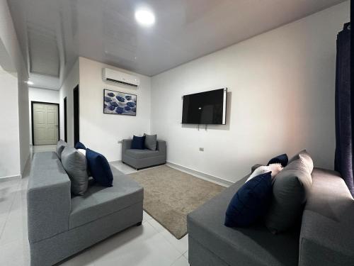 a living room with two couches and a flat screen tv at Premium in Comayagua