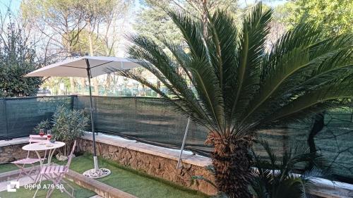 Casa Cycas