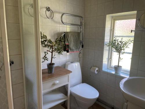 a bathroom with a toilet and a sink and a window at Generös skånegård i idylliska Örum in Löderup