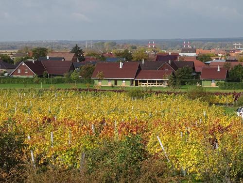 a field of flowers with houses in the background at Ubytování Pod Vápenkami in Skalica