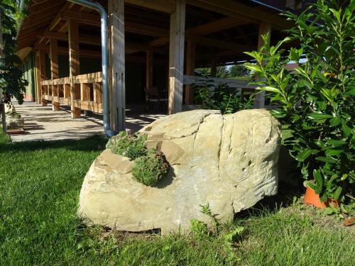 a rock with plants on it in front of a building at Ubytování Pod Vápenkami in Skalica