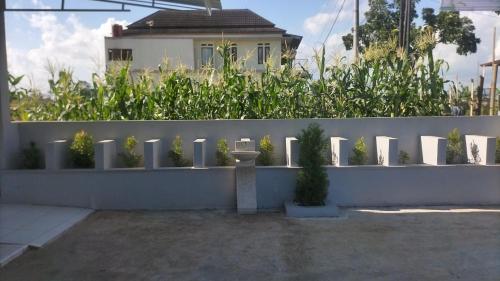 a white fence with potted plants on top of it at Alia Corner Homestay in Mandiraja