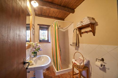 フエンテエリドスにあるNavalgatos de El Tragaluzの洗面台とシャワー付きのバスルーム