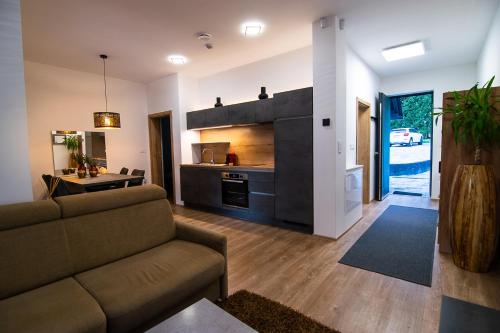 a living room with a couch and a kitchen at Apartments Villa Prod in Ljubljana