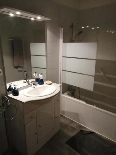 une salle de bain avec un lavabo, une douche et une baignoire dans l'établissement Les mythiques canaux de Sete, vue d'exception !, à Sète