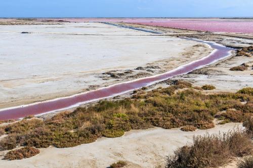 Nuits Salines Salin de Giraud