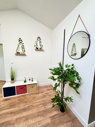 - un salon avec un miroir et une plante dans l'établissement L'Épicéa - 3 chambres Valence Centre, à Valence