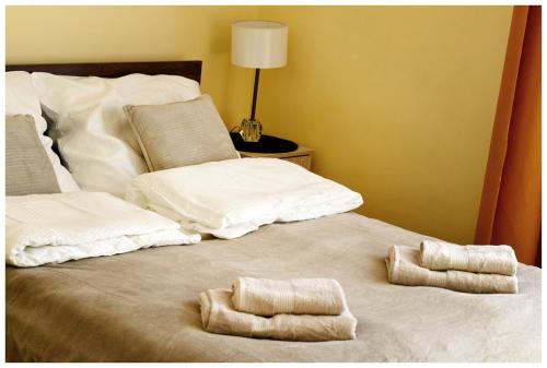 Color 24 - Złoty Punkt