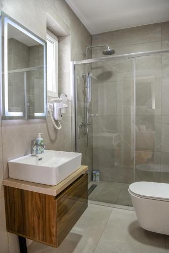 a bathroom with a sink and a shower and a toilet at Vila sa bazenom Vrnjačka Idila in Vrnjačka Banja
